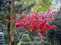 wbgarden autumn 41